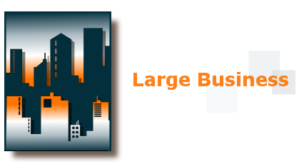 Large Business Large Business