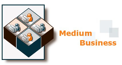 Medium Business Medium Business